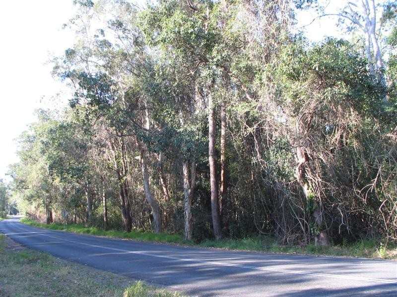 Boreen Point QLD 4565