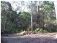 Boreen Point QLD 4565