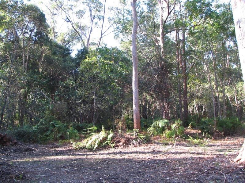 Boreen Point QLD 4565