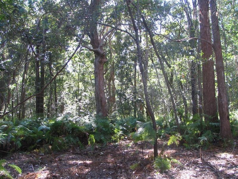 Boreen Point QLD 4565