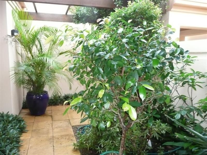 342 The Woods -, Noosa Springs QLD 4567