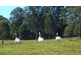 Cooran QLD 4569