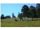 Cooran QLD 4569