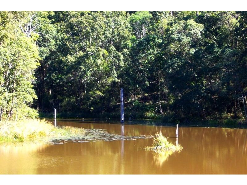 Cooran QLD 4569