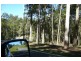 Cooran QLD 4569