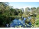L 11 Wallaby Trk, Noosa North Shore QLD 4565