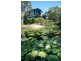 L 11 Wallaby Trk, Noosa North Shore QLD 4565
