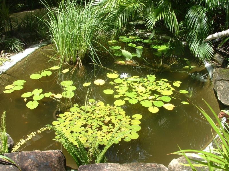 10/124 Viewland Dr, Noosa Heads QLD 4567