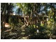 86 Persimmon Dr, Peregian Beach QLD 4573