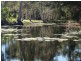 16 Osborne Ct, Wallu QLD 4570