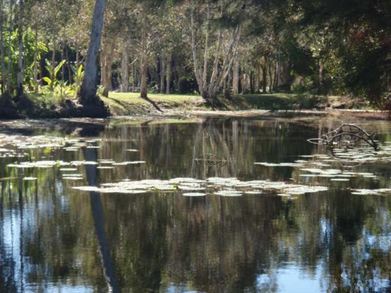 16 Osborne Ct, Wallu QLD 4570