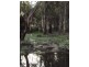 16 Osborne Ct, Wallu QLD 4570