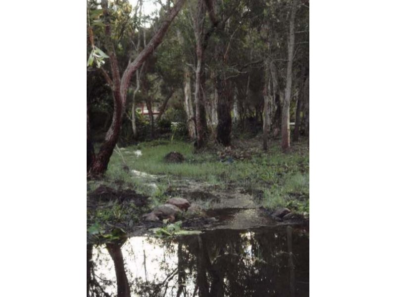 16 Osborne Ct, Wallu QLD 4570