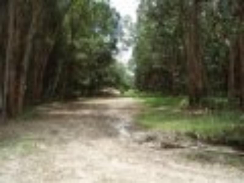 Noosa North Shore QLD 4565