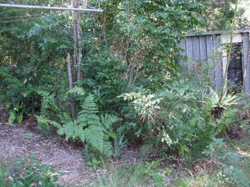 4 Honeysuckle Lane, Noosa Heads QLD 4567