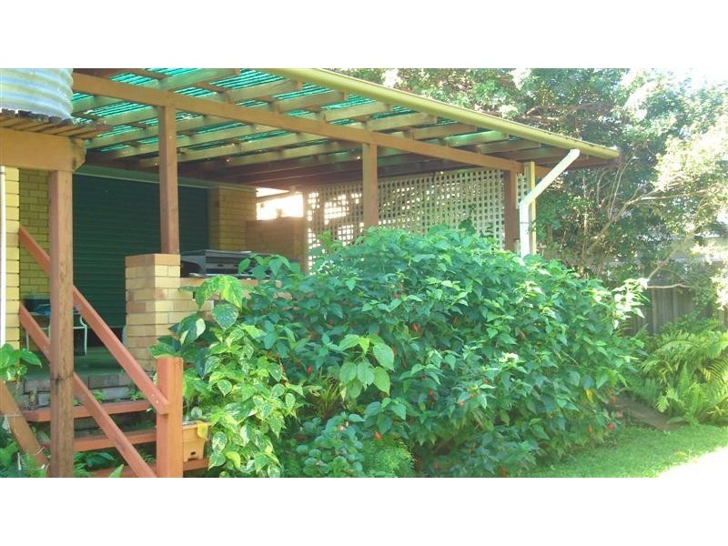 66 Goodchap  St, Noosaville QLD 4566