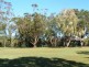 Noosaville QLD 4566