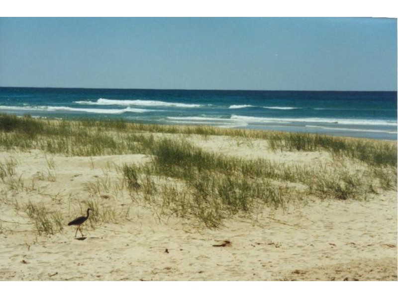 Marcus Beach QLD 4573