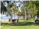 14/159 Gympie Tce, Noosaville QLD 4566