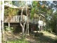 Eumundi QLD 4562