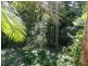Eumundi QLD 4562