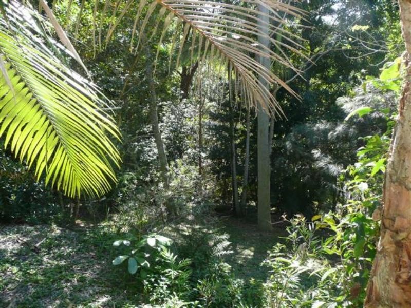 Eumundi QLD 4562