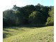 Eumundi QLD 4562