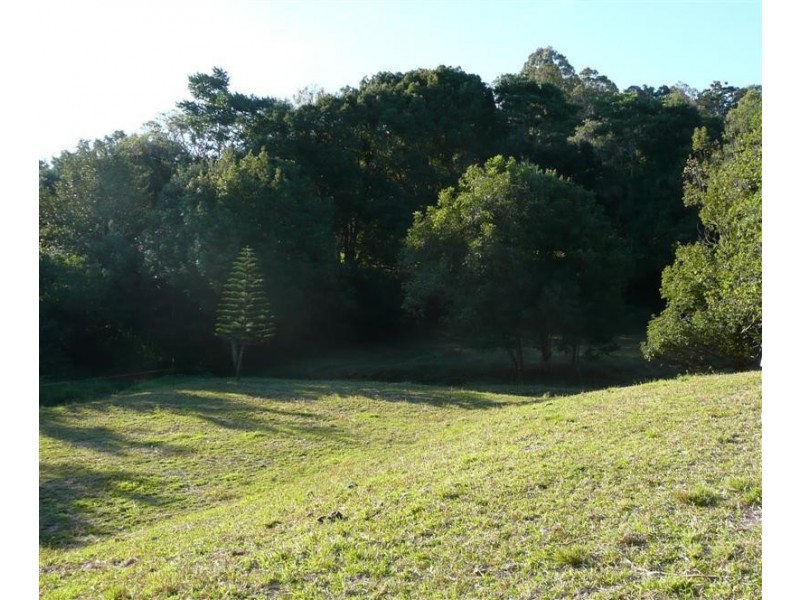 Eumundi QLD 4562