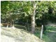 Eumundi QLD 4562