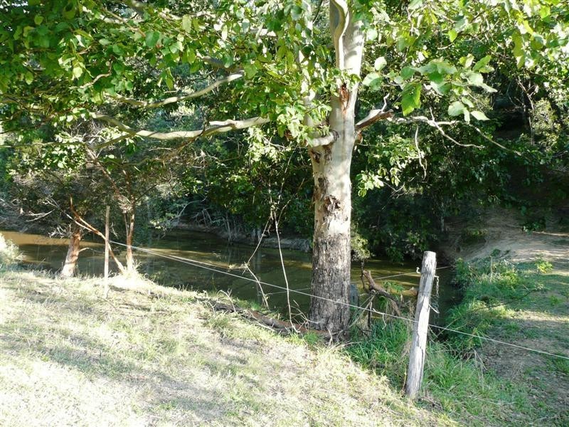 Eumundi QLD 4562