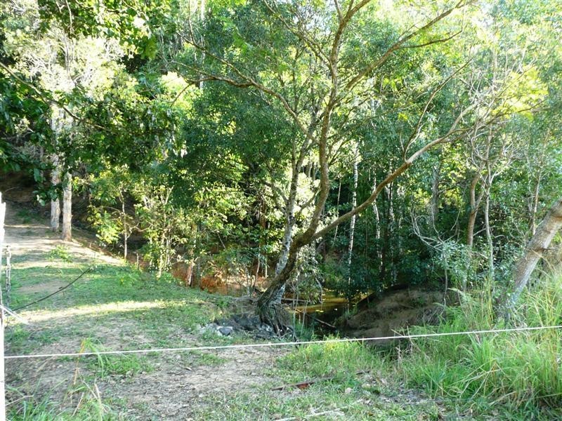 Eumundi QLD 4562