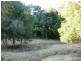 Eumundi QLD 4562