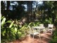 Tewantin QLD 4565