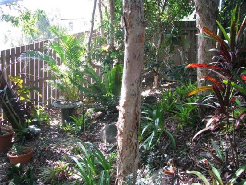 1/19 Advance Pl, Sunrise Beach QLD 4567