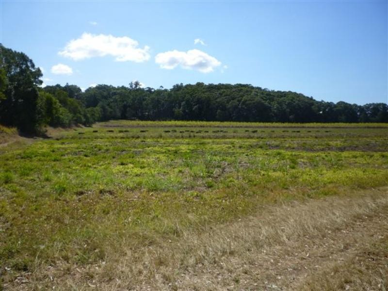 67 Burtons Rd, Maroochy River QLD 4561