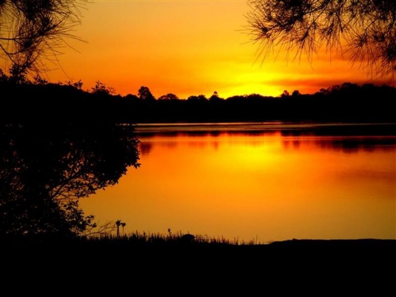 Noosaville QLD 4566
