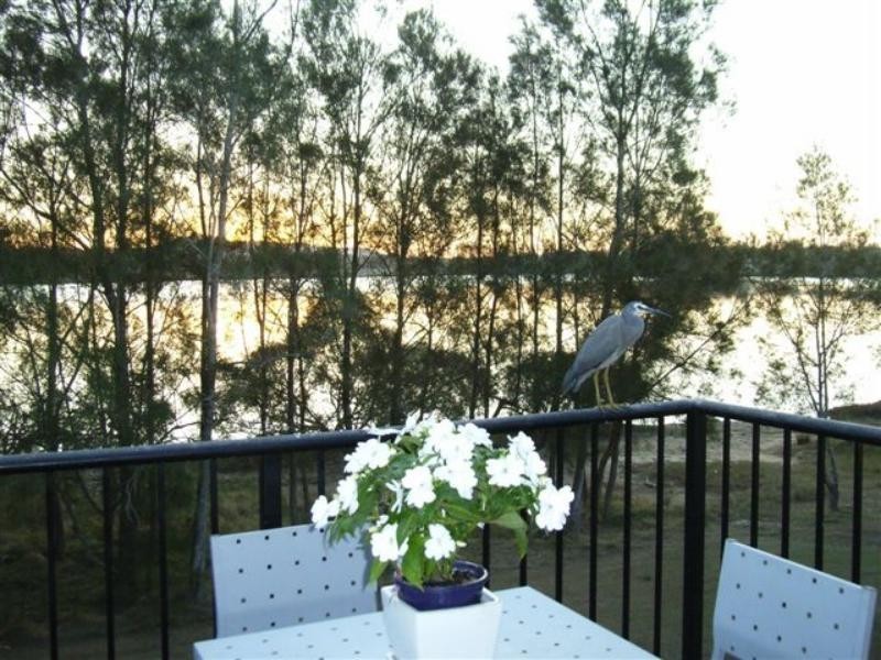 Noosaville QLD 4566