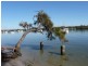 2/145 Gympie Tce, Noosaville QLD 4566
