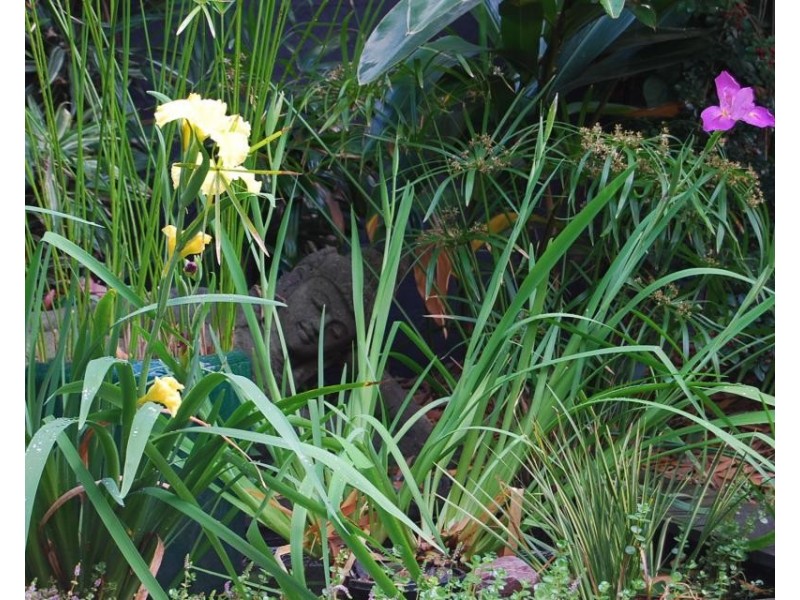 14 Winbirra Way, Noosa Heads QLD 4567