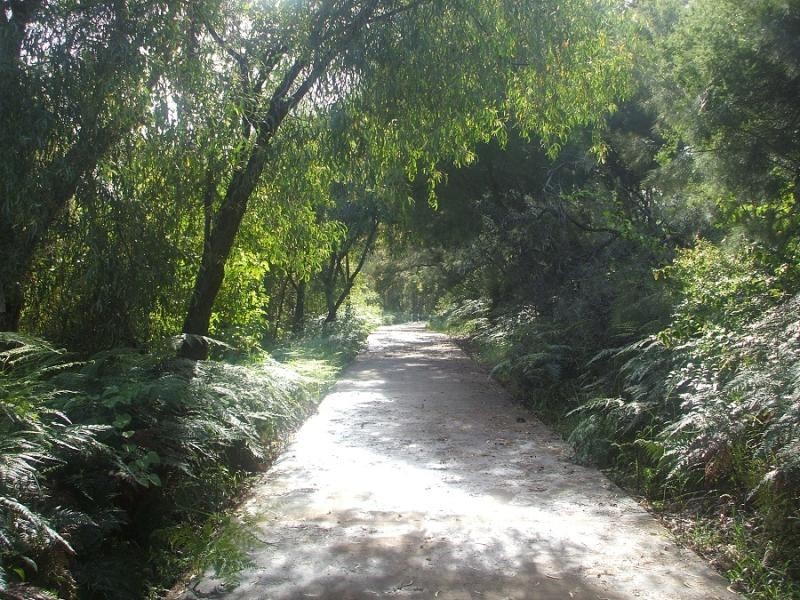 4 Shamrock Ct, Sunrise Beach QLD 4567