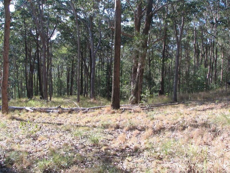 Ninderry QLD 4561