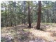 Ninderry QLD 4561