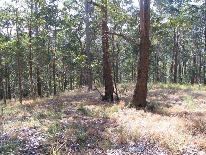 Ninderry QLD 4561