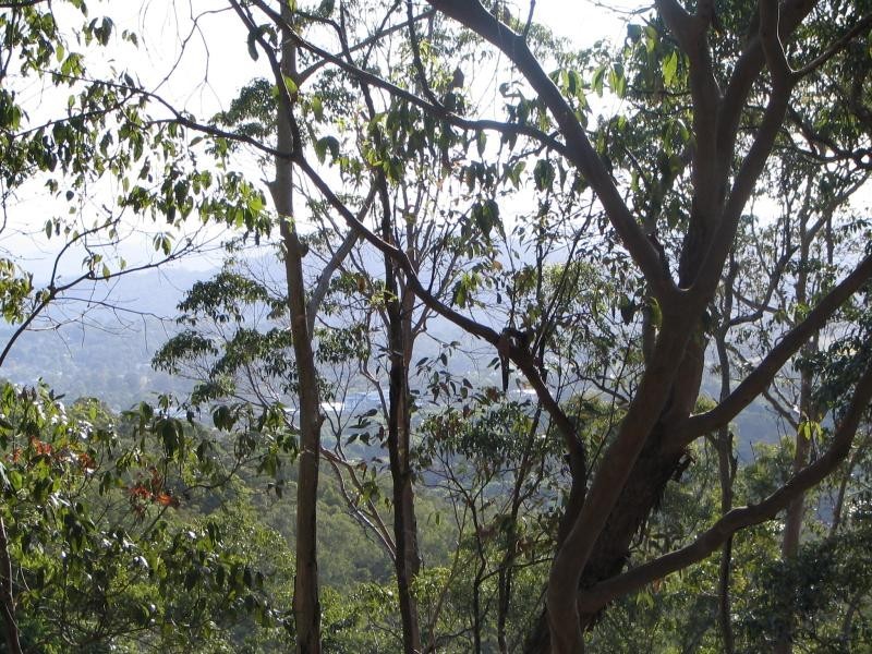 Ninderry QLD 4561