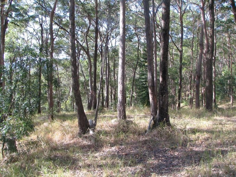 Ninderry QLD 4561