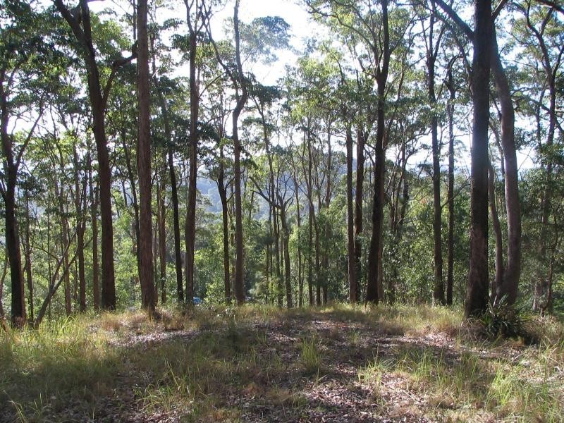 Ninderry QLD 4561