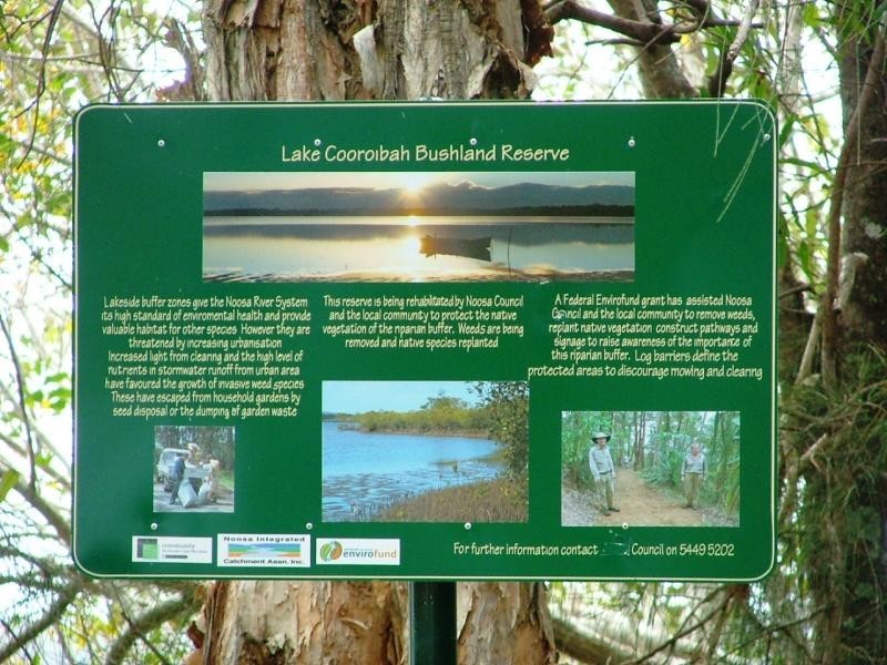 25 Morning Glory Dr, Cooroibah QLD 4565