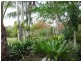 6 Payne St, Eumundi QLD 4562