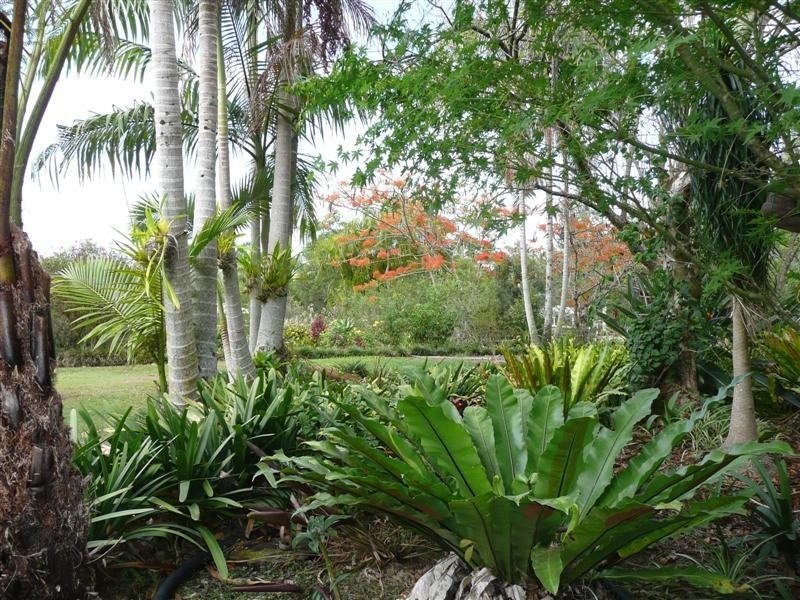 6 Payne St, Eumundi QLD 4562