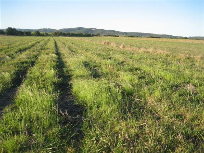 847 Yandina Coolum Rd, Yandina Creek QLD 4561